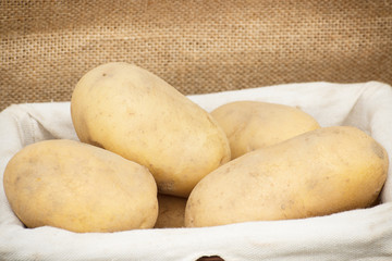 Fresh ripe potatoes in basket, healthy nutrition and vegetable harvest concept