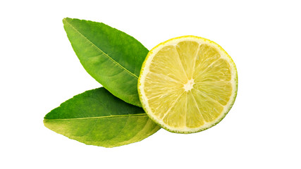 Green lime and leaf on a white background.