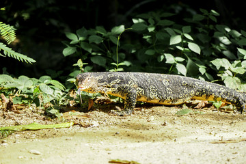 Erawan National Park, Located on West Thailand in the Tenasserim Hills of Kanchanaburi Province
