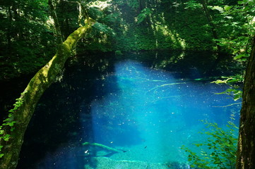 世界遺産の青森県　青池