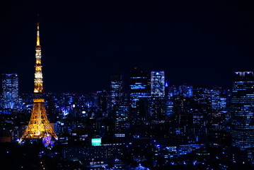 Obraz premium 冬の晴れた夜、光があふれる東京の夜景