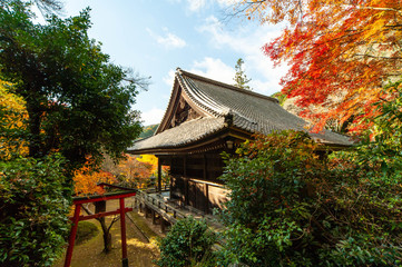 青い空と寺の建物と紅葉