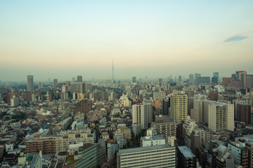 文京シビックタワーからのぞむ池袋方面