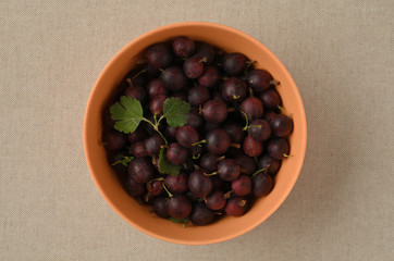 Fresh gooseberry berries in a terracotta bowl on a linen napkin.