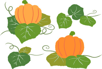 Obraz premium カボチャ セット