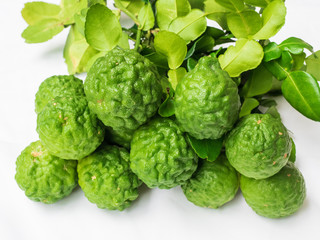 Bergamot from organic farm