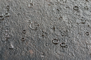 rain gray background. Drops on a puddle. close up