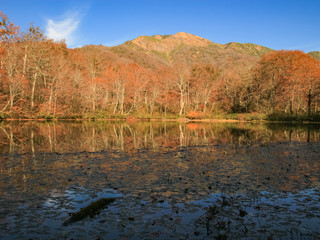 刈込池と紅葉（夕方）　福井県大野市
