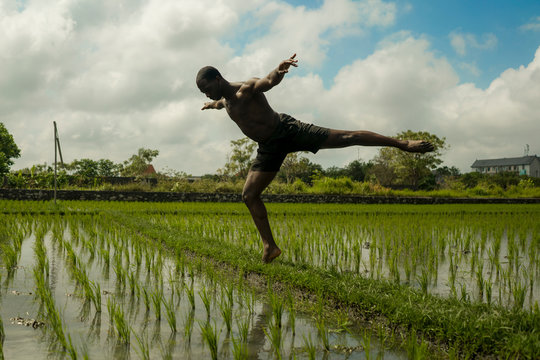 young attractive contemporary ballet dancer and choreographer , a black afro American man dancing and posing on tropical rice field background