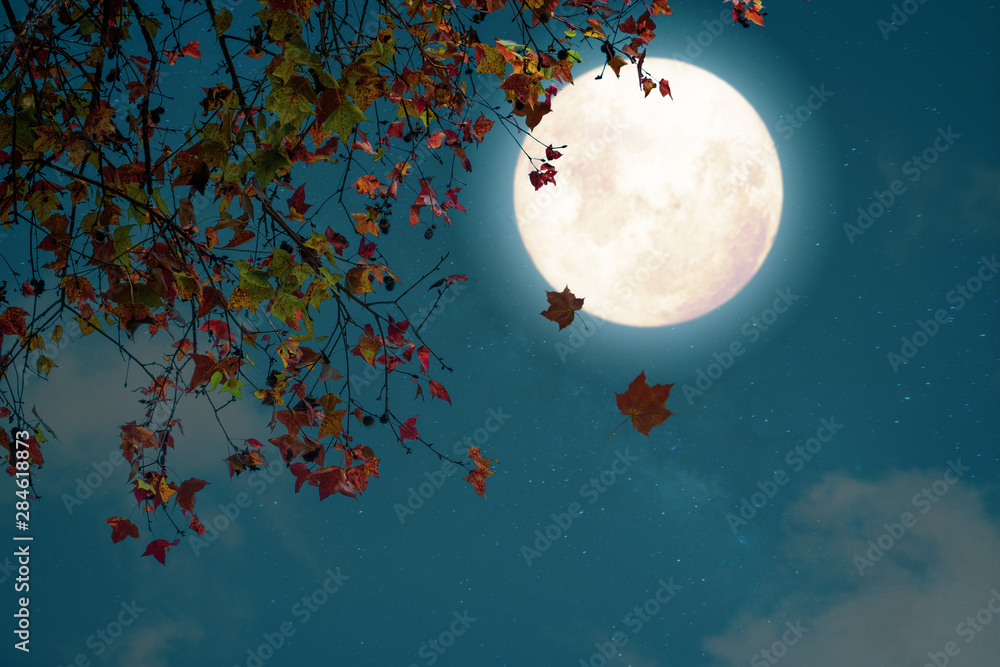 Poster beautiful autumn fantasy - maple tree in fall season and full moon with star. retro style with vinta