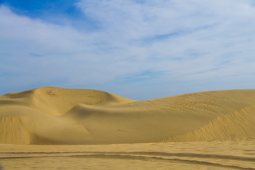 Fototapeta na wymiar duna arenosa
