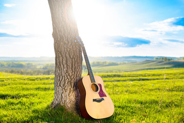 Acoustic guitar leaning against the trunk of a tree against a backdrop of beautiful scenery, a...