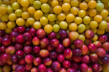 Two horizontal stripes of raw ripe juicy yellow cherry plum at the top and red Burgundy cherry plum at the bottom, covered with a touch of wild yeast as a natural, organic background