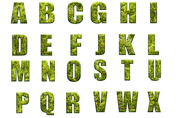 Letters of the alphabet from green leaves of trees © Viktor Boiko