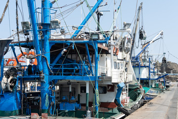 Fishing fleet in port
