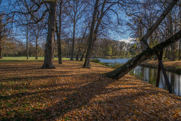 Fototapeta premium Autumn landscape at the island Drottningholm in Stockholm