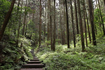 日本　秩父札所の風景