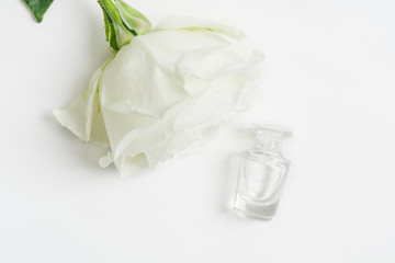 Aromatherapy with rose perfume with one white rose over white textured background with copy space. Mockup