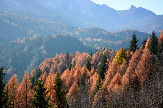Le montagne e le foreste  si colorano ad ottobre 