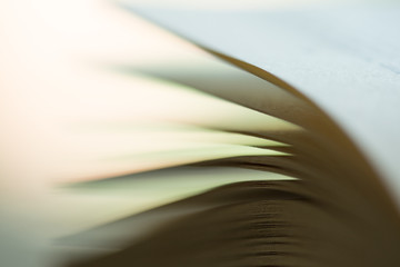Macro view of book pages, green summer background, education and reading concept