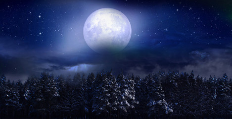 Naklejka na ściany i meble Spruce trees in the winter at full moon