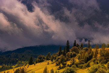 Forested mountains in low lying dramatic clouds, before the rain, and mountain slope, covered with grass and trees .