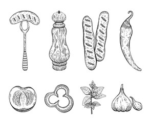 Sausage spices engraved sketch icon set. Sausage on fork, pepper mill, bratwurst, chilli pepper, tomato, paprika, oregano, garlic. Ink outline food vector illustration isolated on white background.