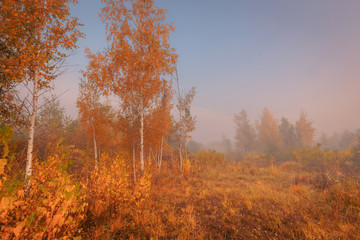 Beautiful autumn sunrise landscape. Foggy morning at scenic golden meadow.