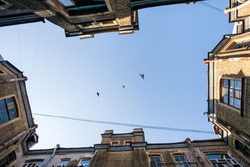 A fisheye view of the City roofs, urban frame, saint Petersburg, Russia