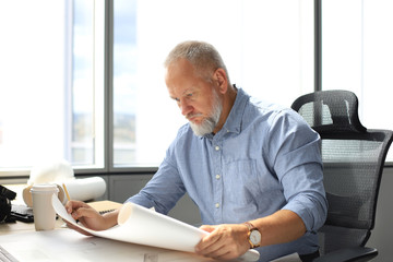 Handsome mature business man using blueprint while working in the modern working space.