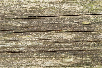 Texture of old wooden board. Dirty and scratched board.