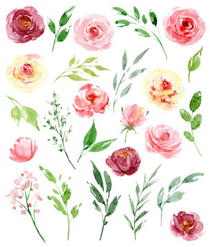 Set with watercolor flowers, leaves. Yellow and pink roses. Perfectly for greeting card, wedding invitation, poster, stickers and other printing. Isolation on white background. Hand painting