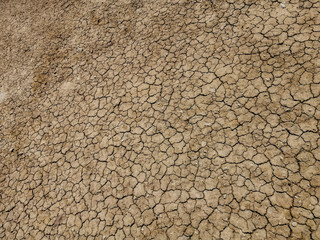 The ground is brown, caused by drought and global warming.