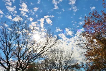 風景　冬　みかも山　杤木