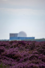 Sizewell Nuclear Power Station From a Distance
