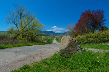 Grand cru route Alsace