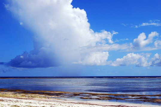 The beautiful white sands of Bwejuu Beach on the east coast of Zanzibar