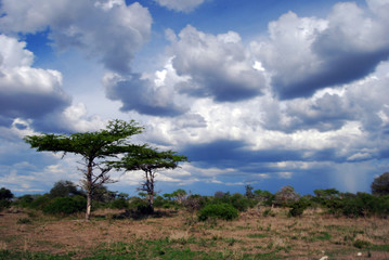 Fototapeta na wymiar Landscape of a remote part of the Selous Game Reserve in Tanzania