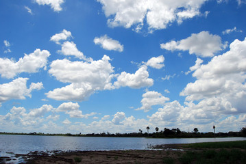 A lake near the Rufiji River in the Selous Game Reserve, Tanzania