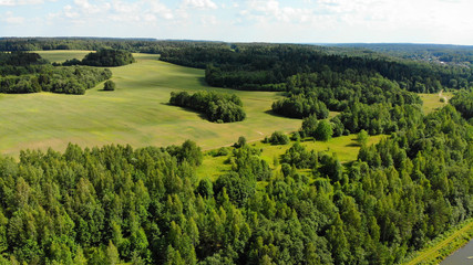 Fototapeta na wymiar Aerial View Of A Forest During Summer Season
