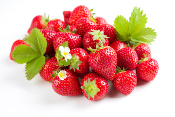 Frische rote Erdbeeren angeboten als closeup auf weißen Hintergrund mit Textfreiraum  –...