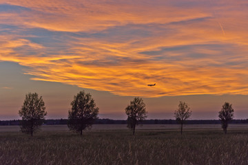 Airplane Landing at Berlin-Schönefeld-Airport, Brandenburg, Germany
