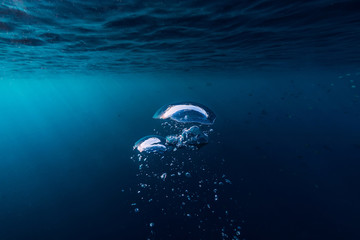 Underwater blue sea with air bubble