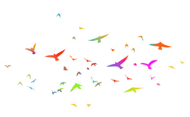 Multi-colored birds. A flock of flying rainbow birds. Vector illustration
