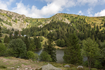 Fototapeta na wymiar Lac des truites en montagne