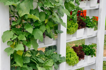 Vegetables and flowers in the plant nursery planted using a multi-storey hydroponic method to save space used. It is supplied by nutrient using water as the 