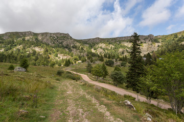 Fototapeta na wymiar Chemin en montagne