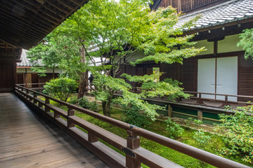 Refreshing summer in Kyoto,Japan