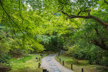 Refreshing summer in Kyoto,Japan