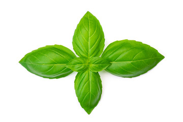 Top view of fresh green basil leaves isolated on white background.